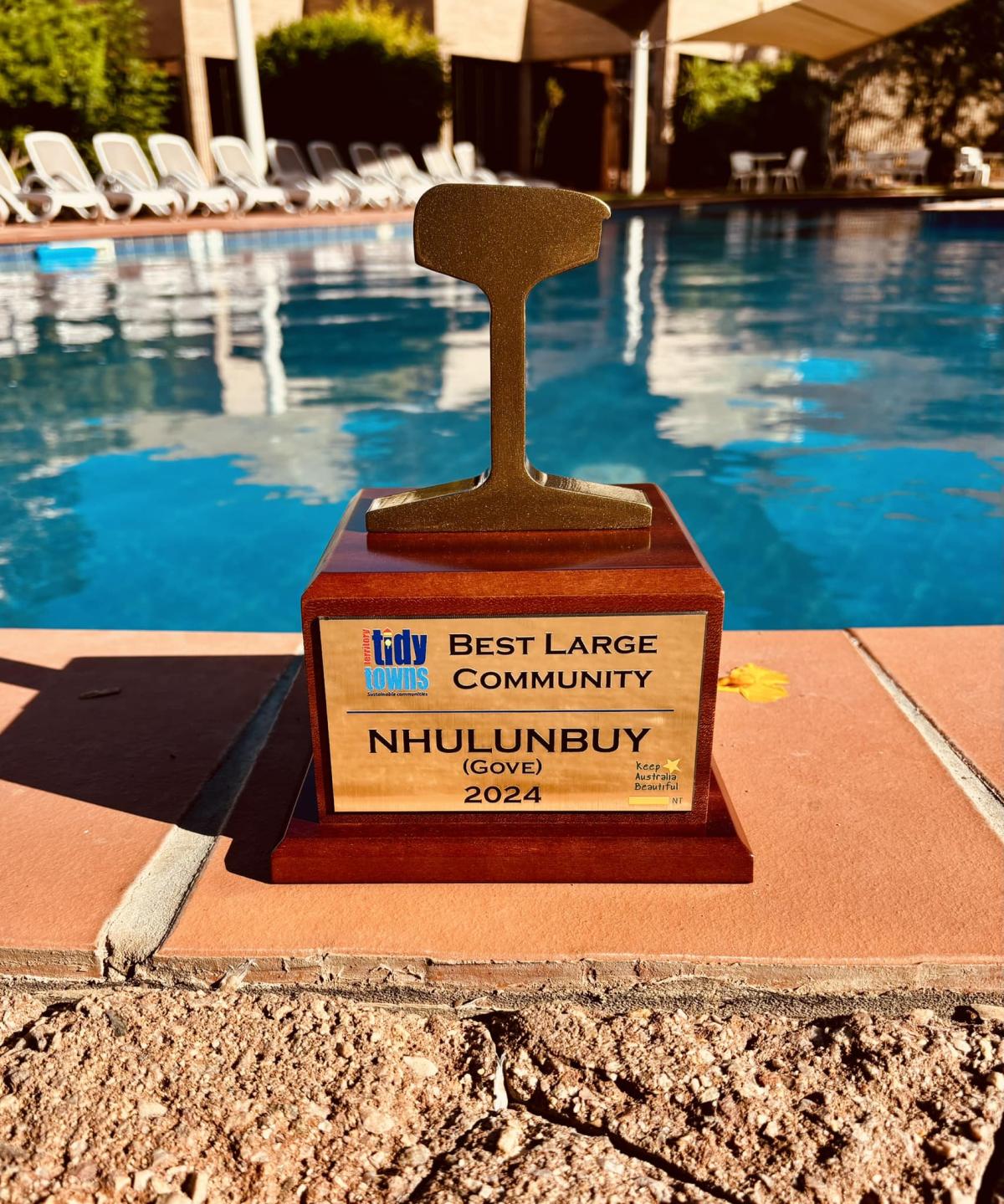 Best Large Community - Tidy Towns 2024