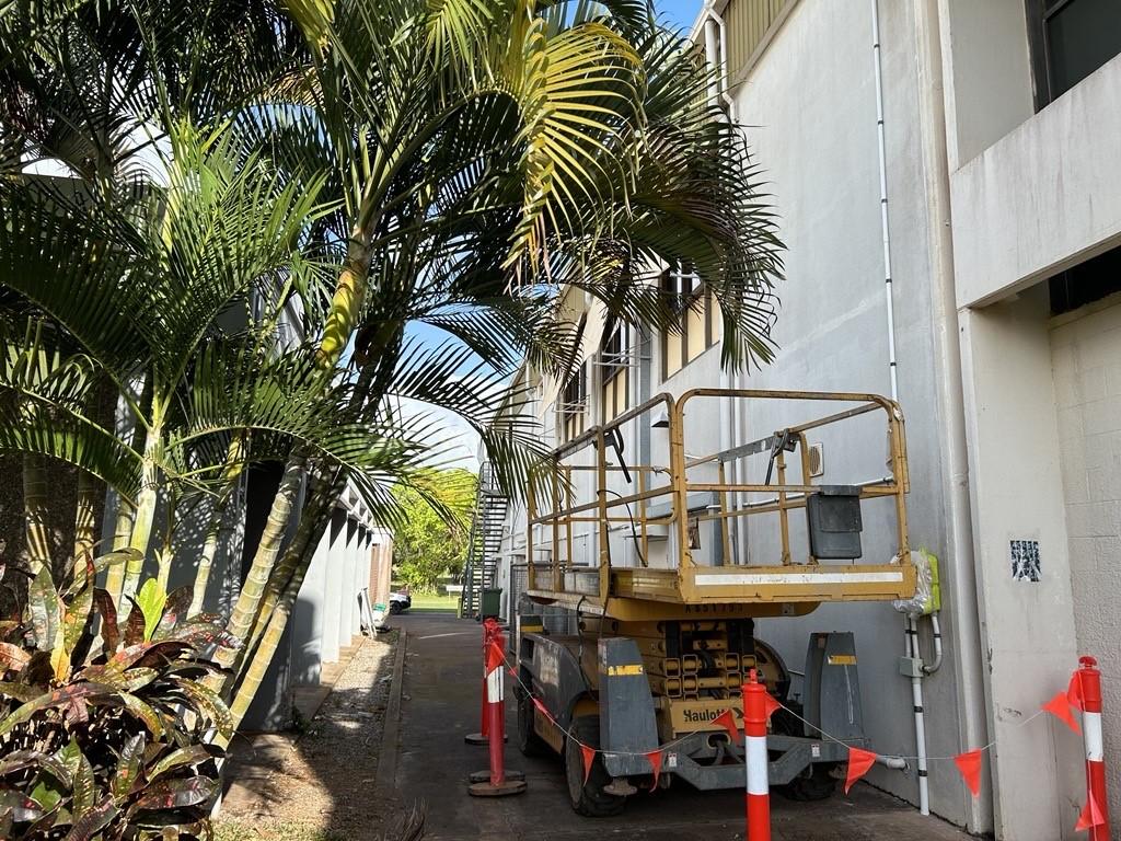 Alleyway behind pizza shop