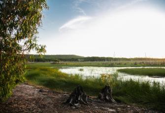 Tender – Weed and Vector Control