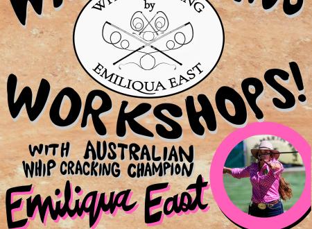 Whip Cracking Workshops